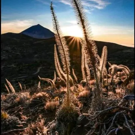 Casa Rural Tenerife Norte *